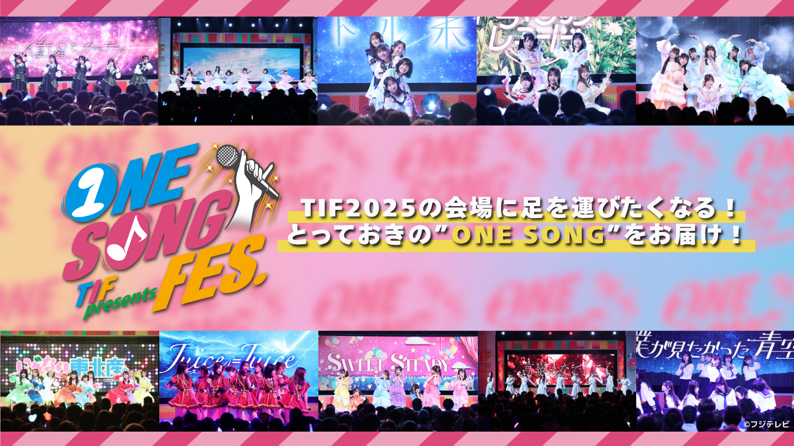フジテレビ「TIF presents ONE SONG FES.」出演決定！ | いぎなり東北