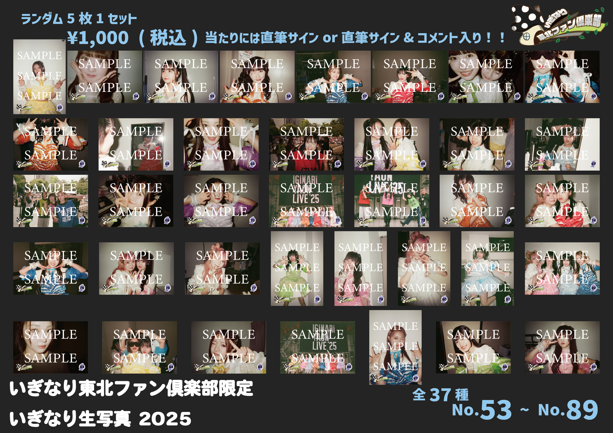 いぎなり東北ファン倶楽部限定 いぎなり生写真 受注販売開始のお知らせ